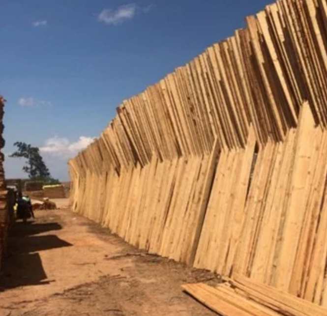 Soft Wood